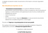 Cattura.PNG