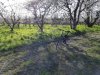 20180406_172655.jpg