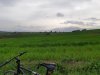 20180404_170505.jpg
