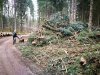 IMG_20181201_124547.jpg