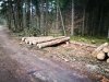 IMG_20181201_124507.jpg