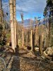 IMG_20181201_102905.jpg