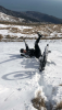 Screenshot_20190126-165548.png