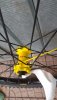 IMG-20190806-WA0017.jpg