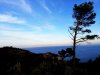 IMG_20190914_201703.jpg