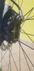 IMG-20190923-WA0110.jpg