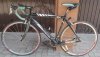 bici papy 015.jpg