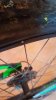 20170613_081506.jpg