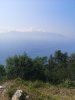 IMG_20200627_094331.jpg