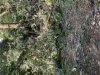 2B762428-1E94-431D-9BC6-DBAB618EAC66.jpeg