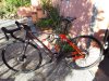 20200725_080744.jpg