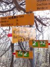 20201110_112847.jpg