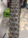 IMG_20201114_182131027.jpg