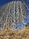 IMG_20201118_112902.jpg
