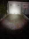 IMG20201121231904.jpg