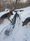 IMG_20201226_103651.jpg