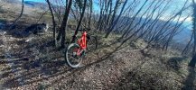 20201227_115139.jpg