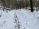 7CA6E058-C227-43C0-B53F-4F47BD19EF47.jpeg
