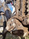 20201231_134950.jpg