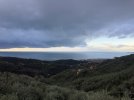 IMG_4432.JPG