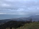 IMG_4435.JPG