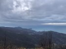 IMG_4436.JPG