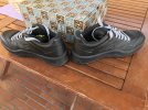 IMG_3137.jpeg