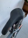 IMG_1255.jpeg