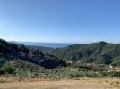 B54E3980-10D5-4983-B9BC-6CD94293D433.jpeg