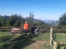 20210829_085029.jpg