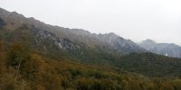 IMG_20211012_105724.jpg