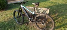 Bianchi 3.jpg