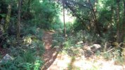 San Michele trail 2.jpg