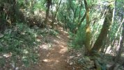 San Michele trail 1.jpg