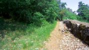 bosco Gabria 1.jpg