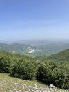 A200E35D-A646-43D7-8EAD-3C5123385C54.jpeg