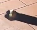 tubicino freno.jpg