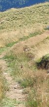 IMG_20220731_163628.jpg