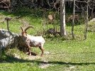 IMG20210520111645.jpg