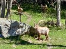 IMG20210520111252.jpg