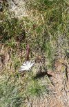 IMG_20220821_193901.jpg