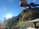 IMG_20221002_100928.jpg