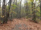 20221026_115656.jpg