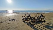 IMG_20221228_143503.jpg