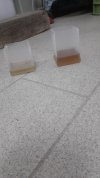 IMG-20230428-WA0006.jpeg