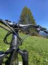 IMG_4282.jpeg