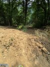 IMG_8737.jpeg