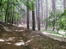 IMG-20230626-WA0006.jpg