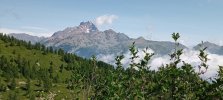 IMG_20230713_103229_457.jpg