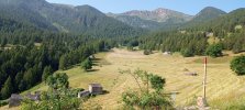 IMG_20230713_094159_494.jpg